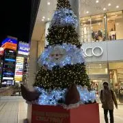 ダイス社の画像