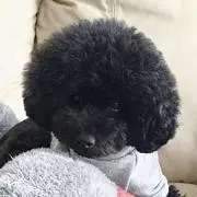 ふくちゃん☆の画像