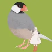 みりんの画像