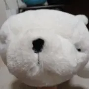 もうふ※プロフ読んでくださいの画像