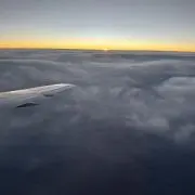 Mの画像
