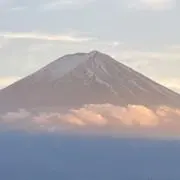 まりもの画像