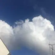 S.P