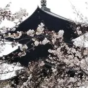 和の画像