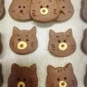 くーちゃんの画像