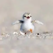 mの画像
