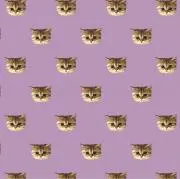 @@@の画像