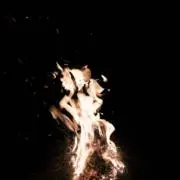 り   12時間以内発送！の画像