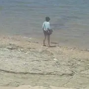 なかみく
