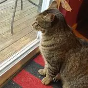 ひじ