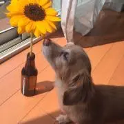なちくん必ずプロフご確認下さいの画像