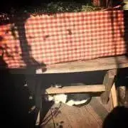 n＊の画像