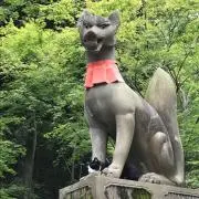osho-sanの画像