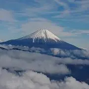 Caloの画像