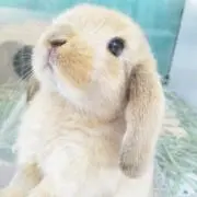T♡Y