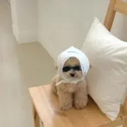 ♡の画像