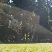 ゆうの画像