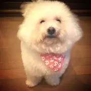 Miikoの画像