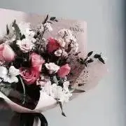 matildaの画像