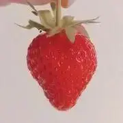 Rの画像