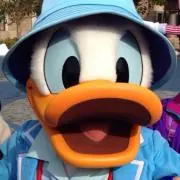 ※あんず※