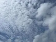 マッキーニの画像