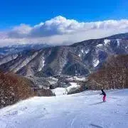 ya-co※プロフ必読くださいの画像