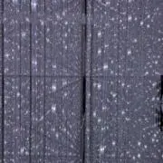 YUの画像