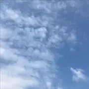 まっさの画像
