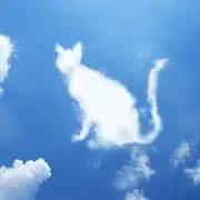 ハニオ