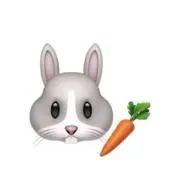 白うさぎの画像