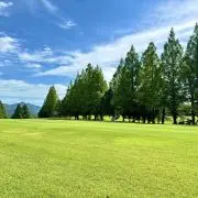kozypuppyの画像