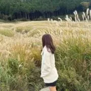 にこの画像