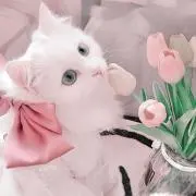 M♡の画像