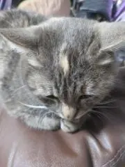 YUZU♡