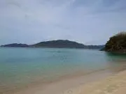 いたちの画像