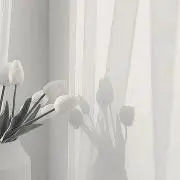 ここの画像