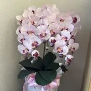 mina 値下げ交渉OKの画像