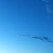puchaの画像