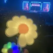 デイジーの画像
