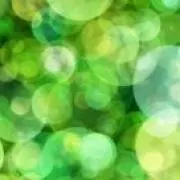 マサ