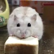 まめ♡