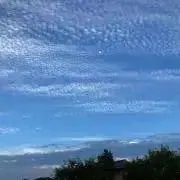テレマクロの画像