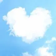 くまの画像