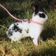 KIMI