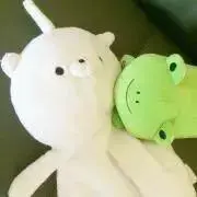れいにゃんこの画像
