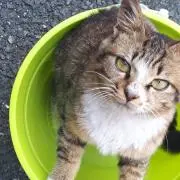 あきの画像