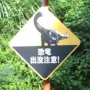 映画・音楽・T シャツ・本・野菜・ω・私の画像