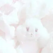 ゆっぴの画像