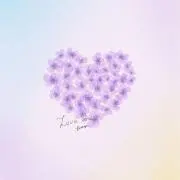 わこ